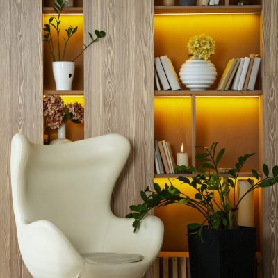 interior-design-with-armchair-potted-plant